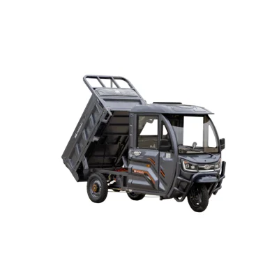 TRICICLU ELECTRIC CARGO VOINICU C: GRI INCHIS - 683274 2