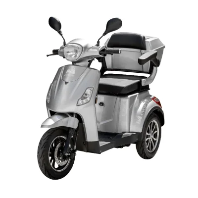 TRICICLU ELECTRIC PERSOANE HORIA C: ARGINTIU-683339